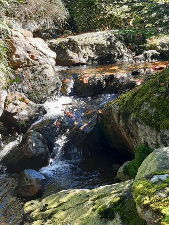 Anno - Wohlfuehlen Am Bachal In Altschoenau Neuschönau Exteriör bild
