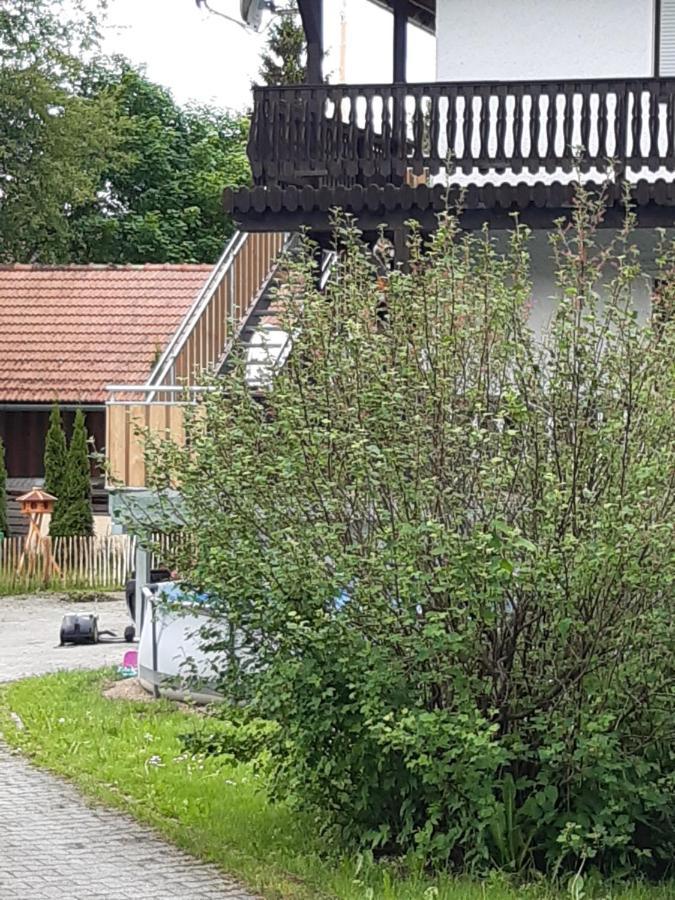 Anno - Wohlfuehlen Am Bachal In Altschoenau Neuschönau Exteriör bild